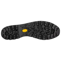 LOWA Boots ALPINE EXPERT II GTX - LIME/BLACK New